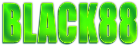 BLACK88